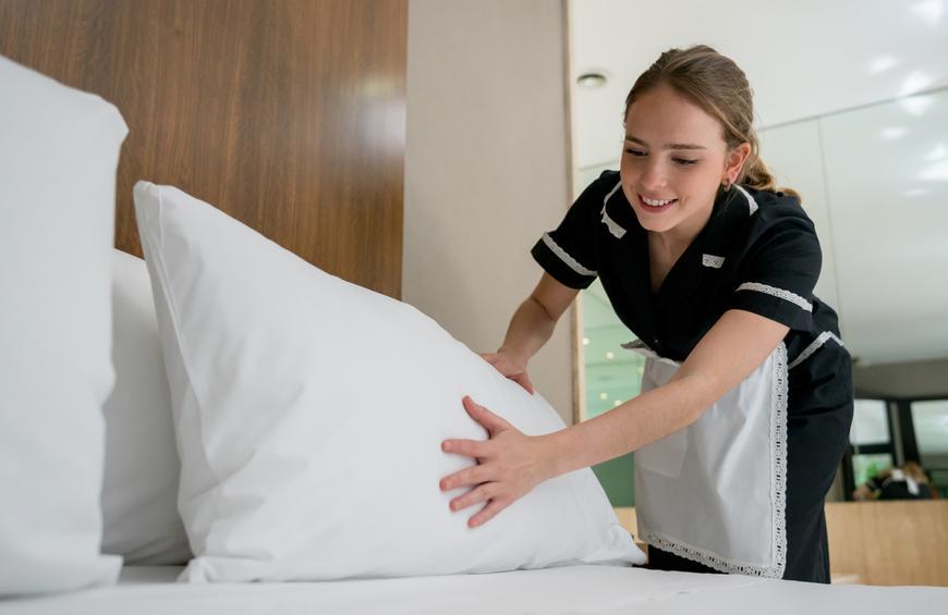 Hotel Resort Housekeeping Icon Cleaning Services